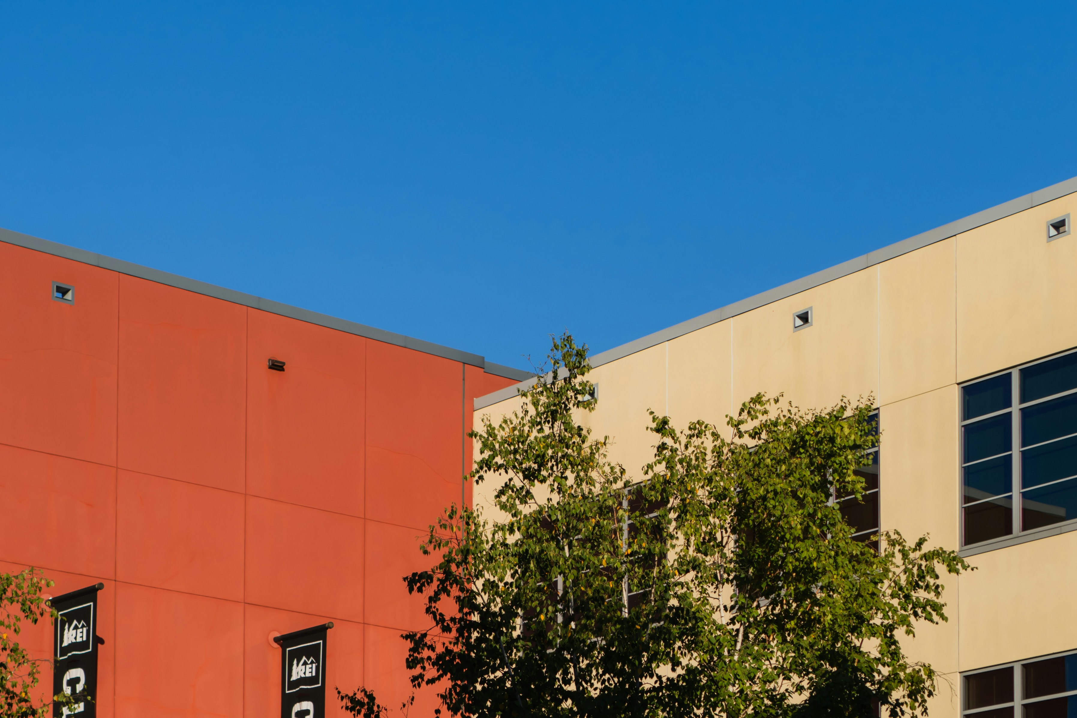 Photo by zhenyao_photo