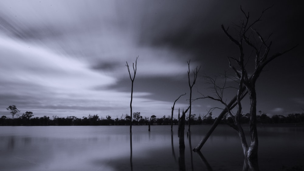 Una foto en blanco y negro de un cuerpo de agua