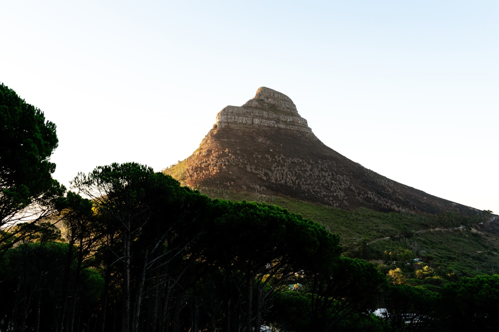 a mountain with trees in front of it