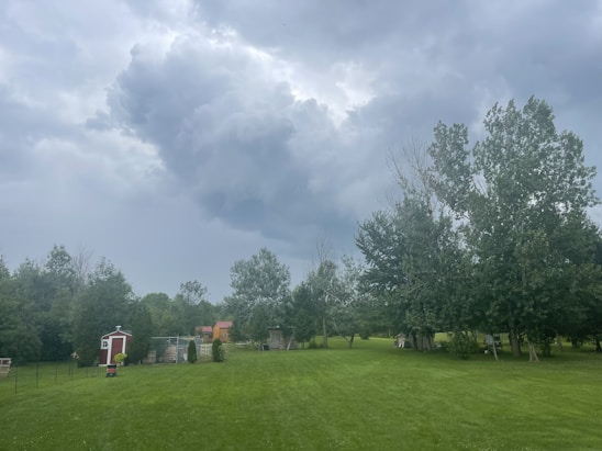 A vast, well-maintained green lawn with several trees along the right side and distant background. The sky is cloudy and overcast, hinting at an imminent storm. Some small structures, including a red shed, are positioned to the left of the image near a fenced area.