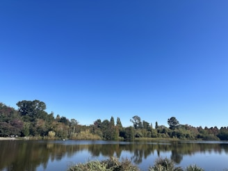 A serene landscape with a calm lake reflecting the sky, surrounded by lush greenery.