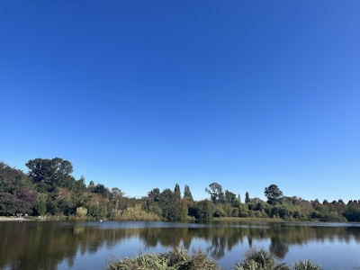 A serene lake surrounded by lush greenery under a clear sky
