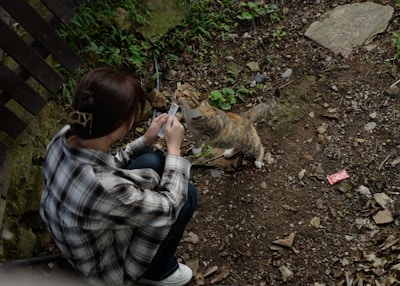 A caregiver kneeling to offer a treat to a curious tabby cat during a mid-day visit.