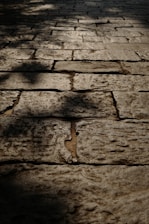 Patterned stone walkway freshly installed with clean edges and natural tones.