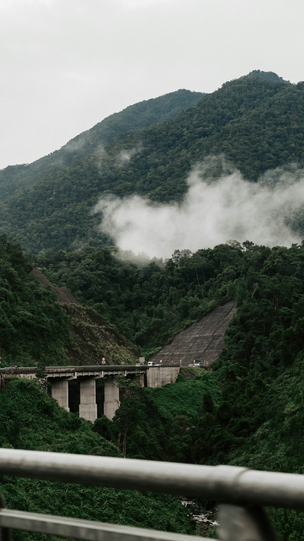 a train traveling through a lush green countryside