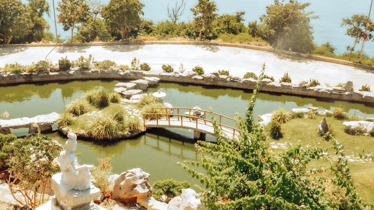 A serene commercial garden featuring a custom-built koi pond surrounded by lush greenery and stone pathways.