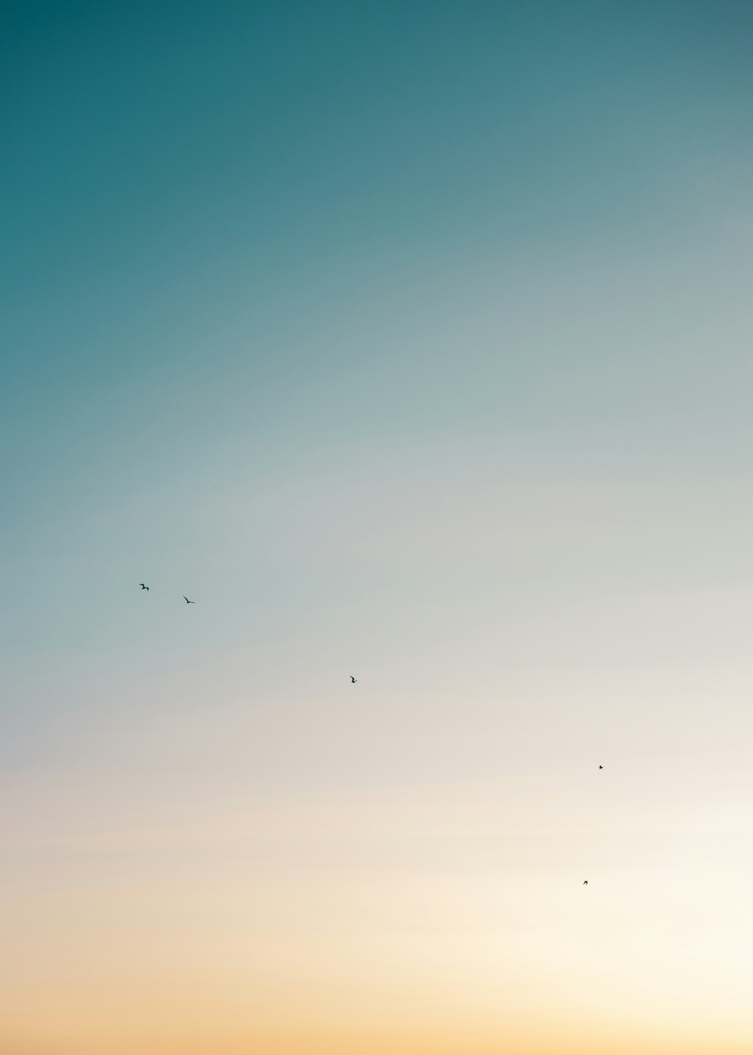 Photo by robertarnar