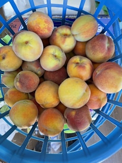 A colorful display of stone fruits in a basket.