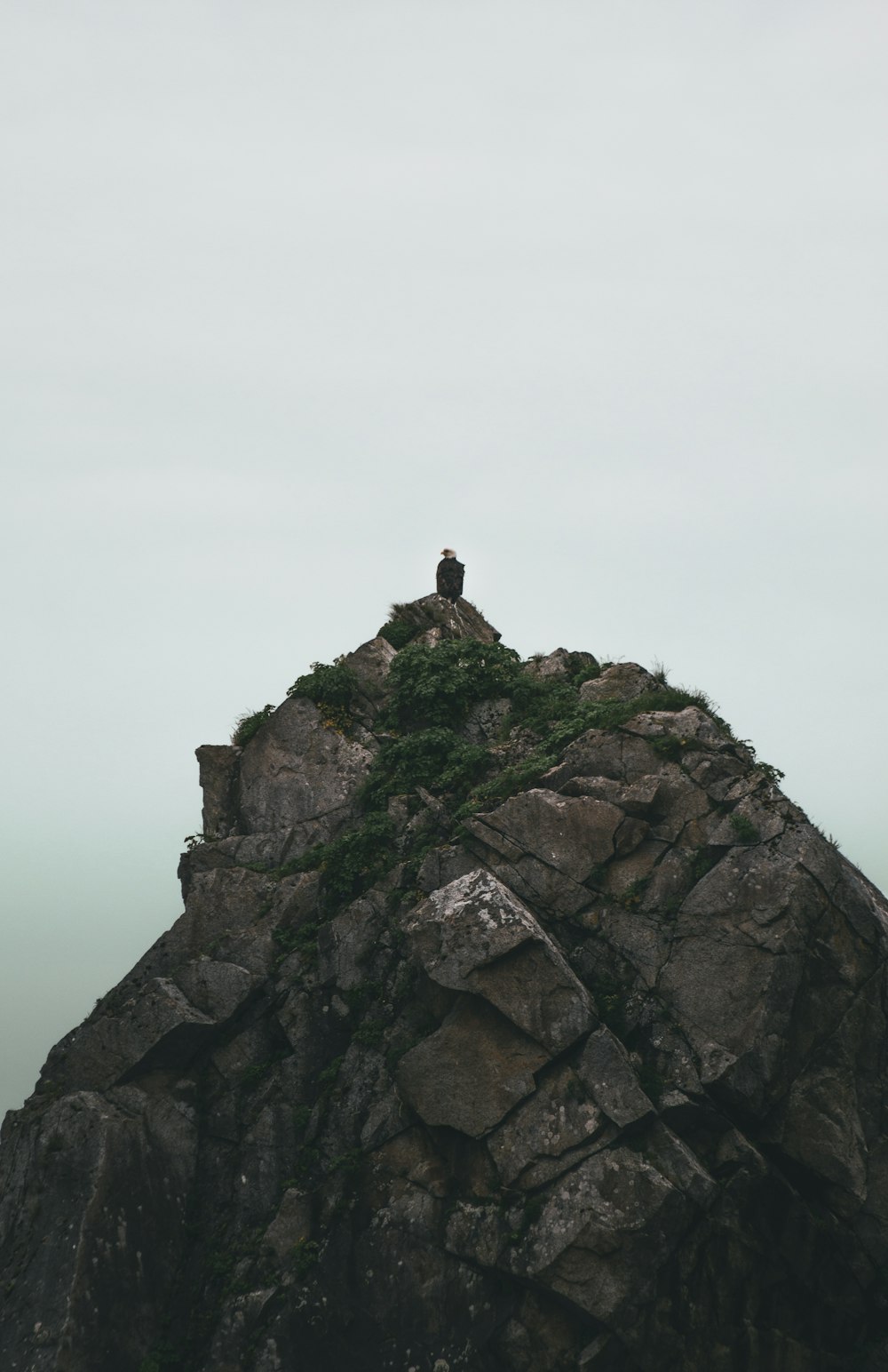 a person standing on top of a large rock