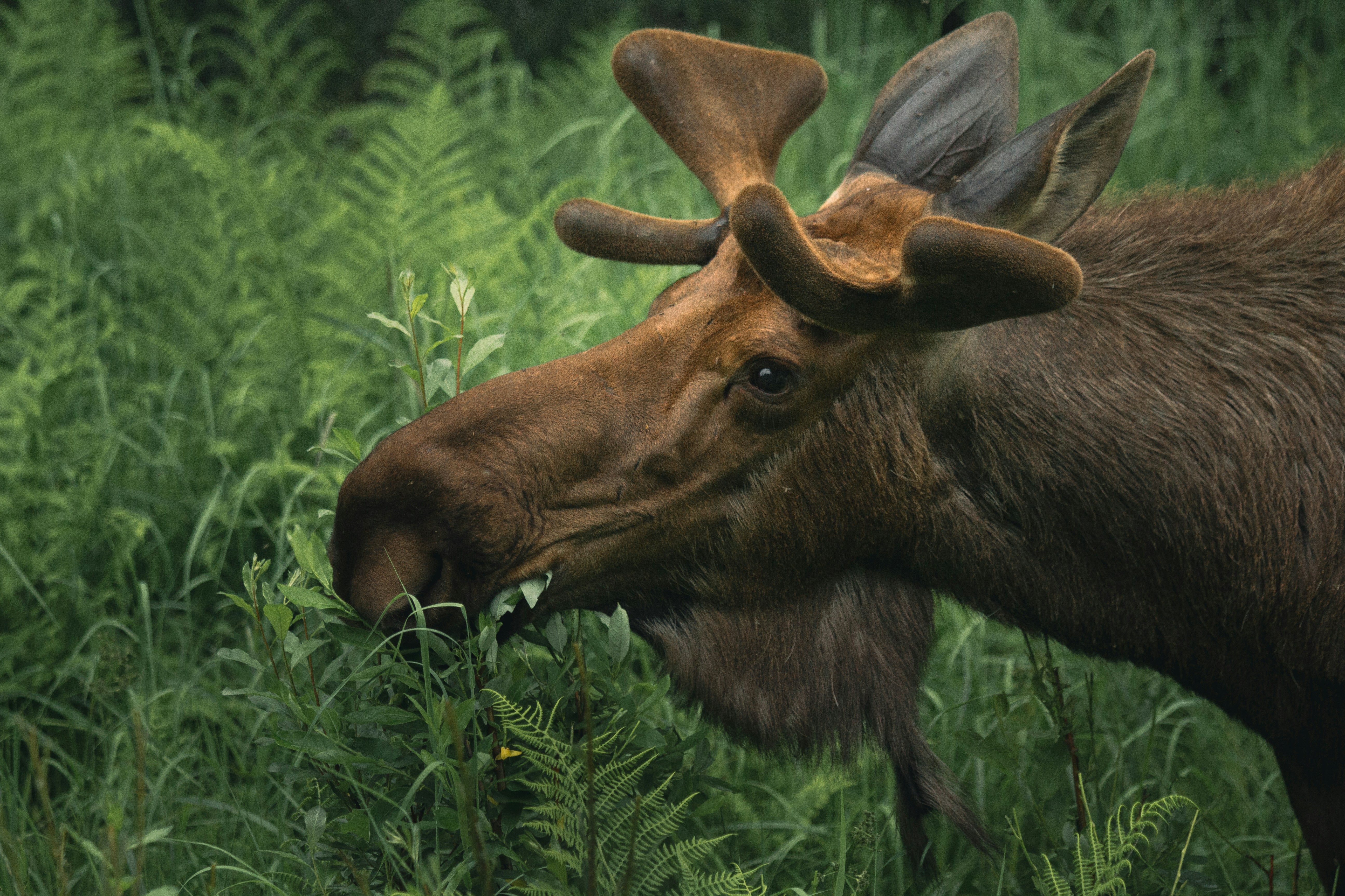 Photo by michaelc179