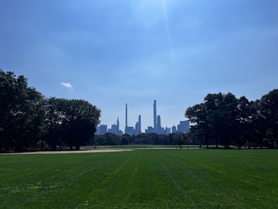 A spacious green plot of land with a city skyline in the background.
