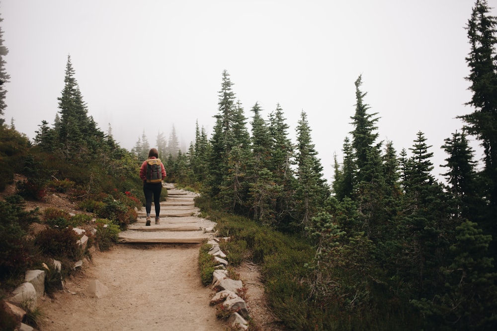 a person walking up a trail in the woods