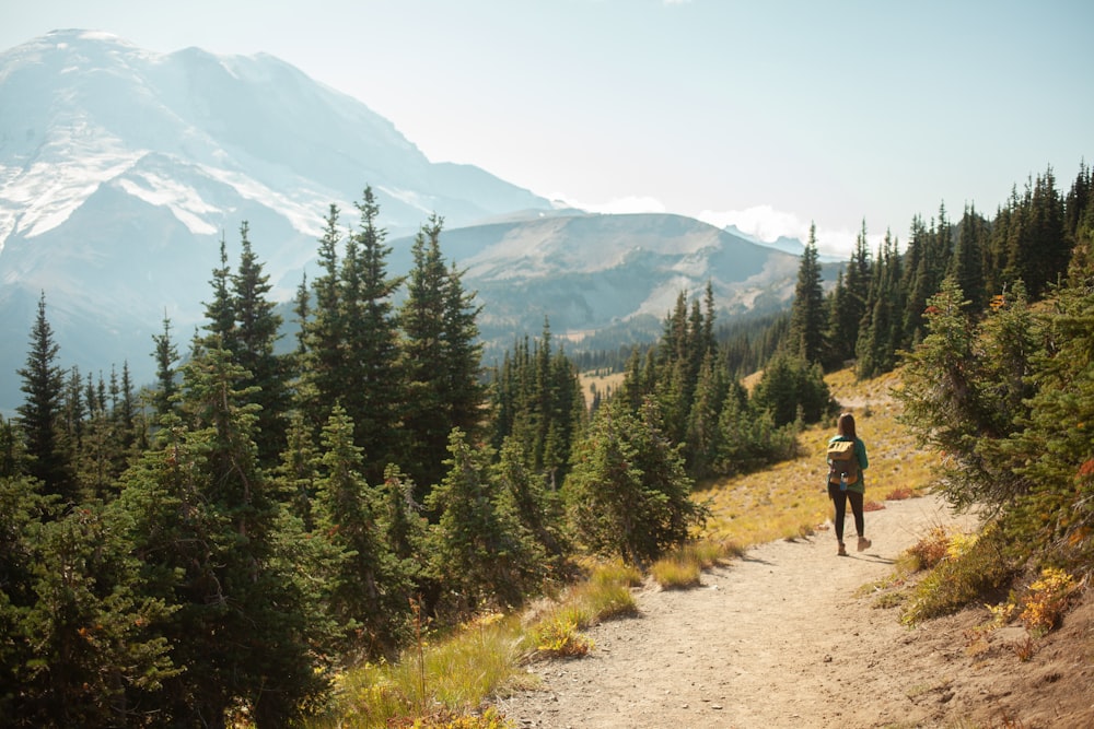 a person hiking up a trail in the mountains