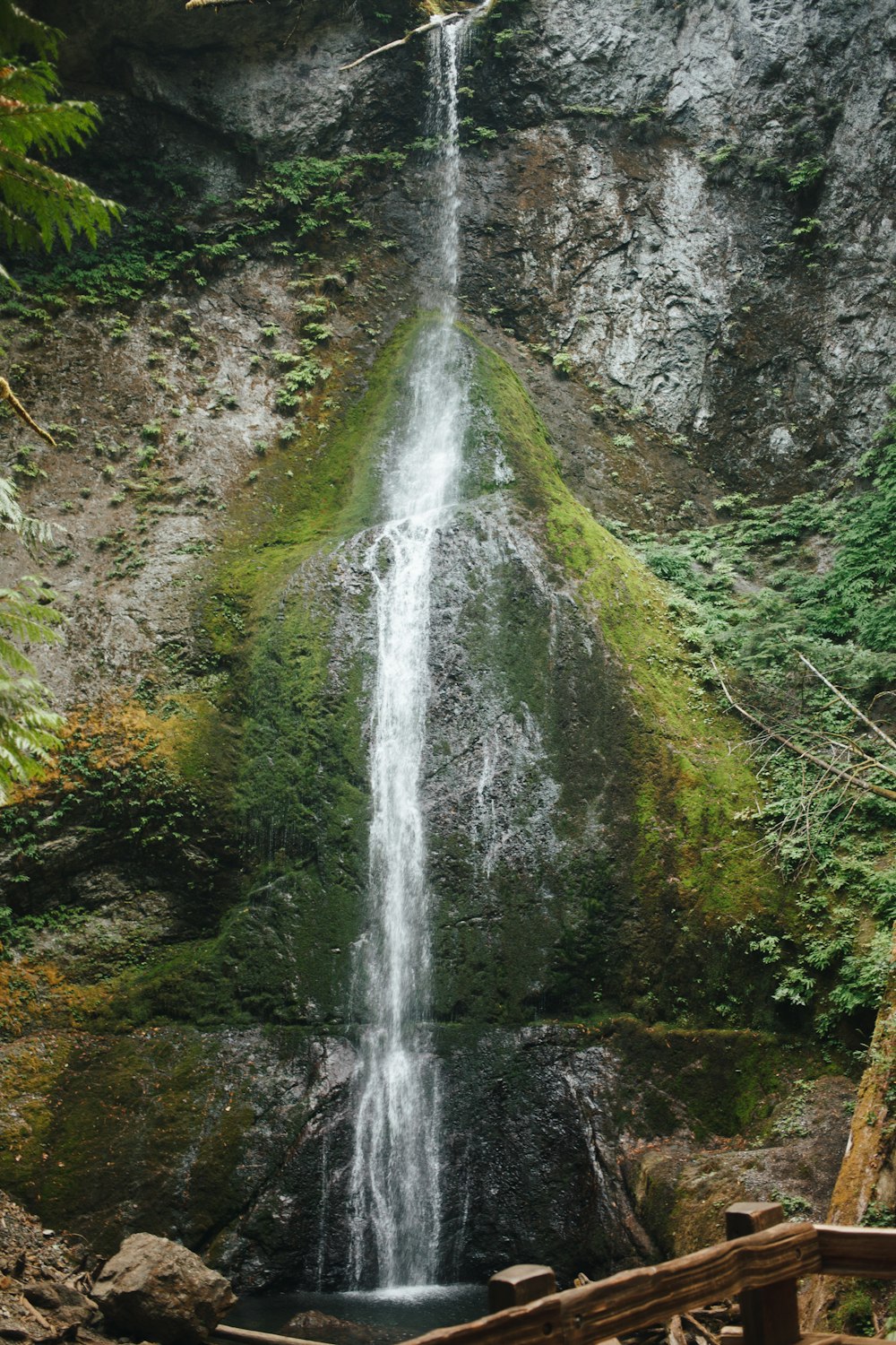 a waterfall in the middle of a forest