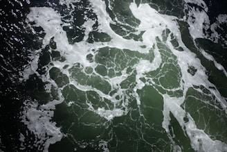 White sea foam patterns float on top of dark green ocean water, creating a stark contrast. The light catches on the foam, highlighting its intricate, lacy designs against the deep color of the sea.