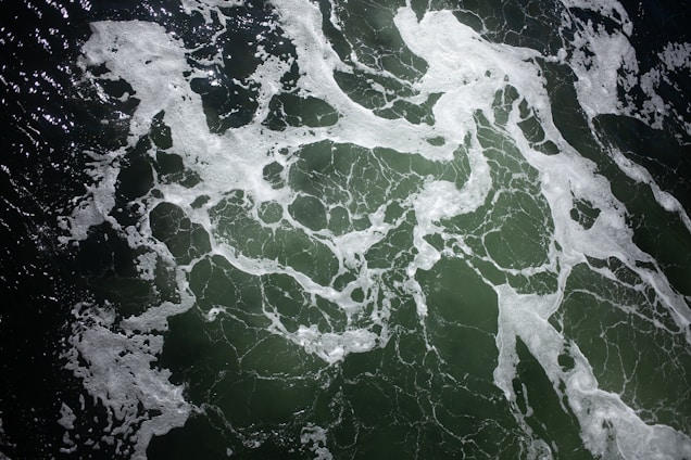 White sea foam patterns float on top of dark green ocean water, creating a stark contrast. The light catches on the foam, highlighting its intricate, lacy designs against the deep color of the sea.