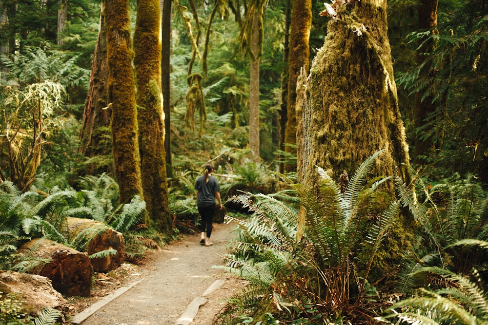 a man walking through a lush green forest