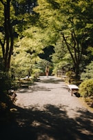 A therapist gently guiding a patient through a mindfulness exercise in a peaceful garden setting.