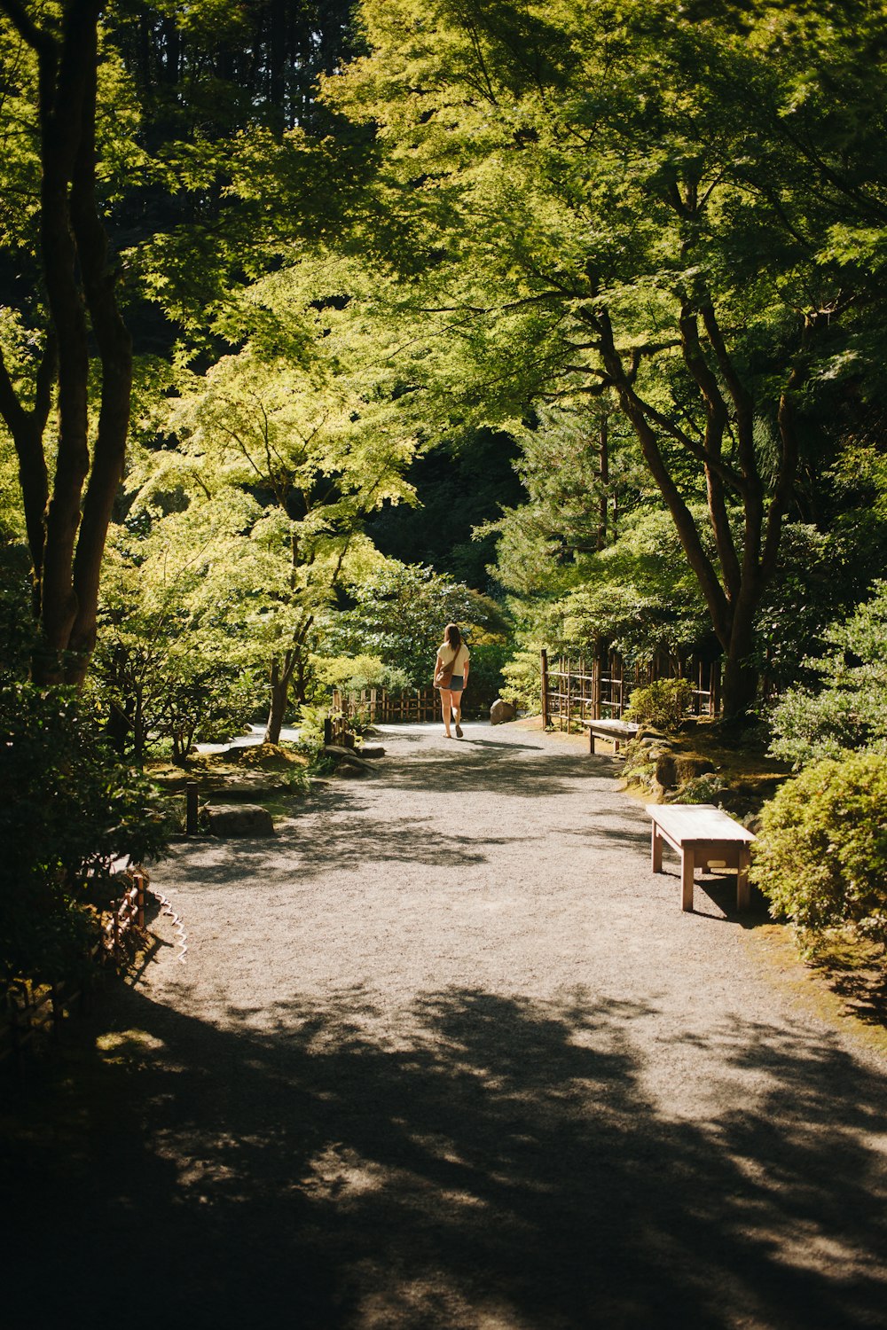 a person walking down a path in a park