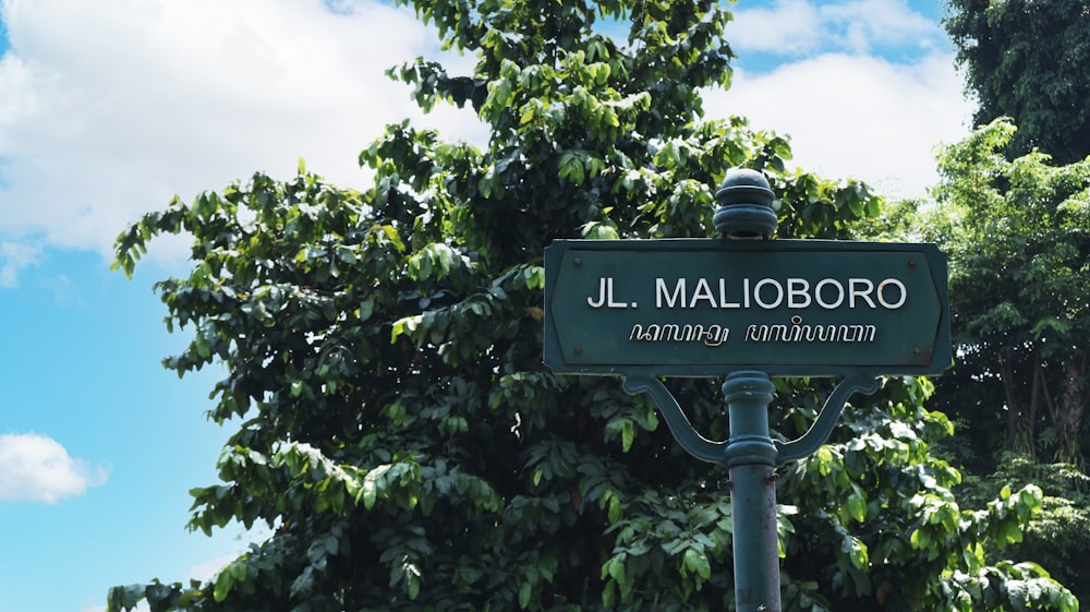 a street sign in front of some trees