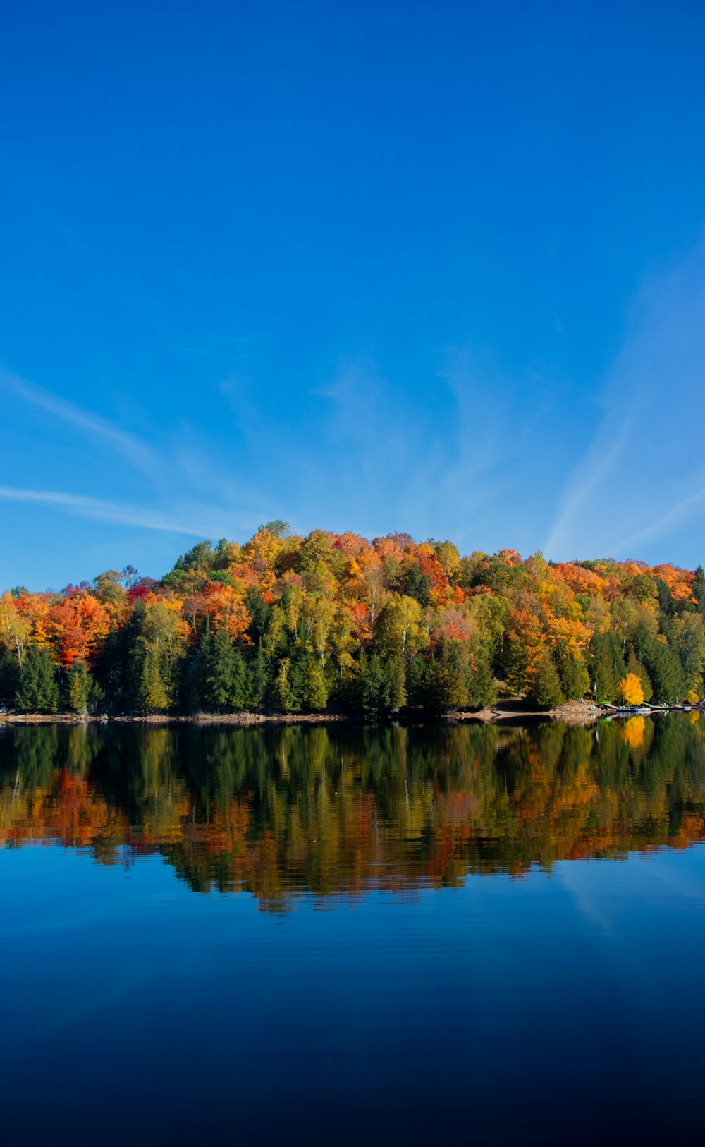 a body of water surrounded by lots of trees