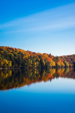 A peaceful lake reflecting the vibrant colors of the surrounding forest.