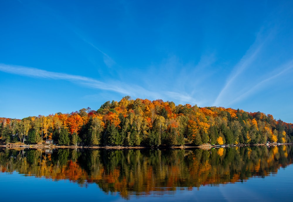 un plan d’eau entouré de nombreux arbres