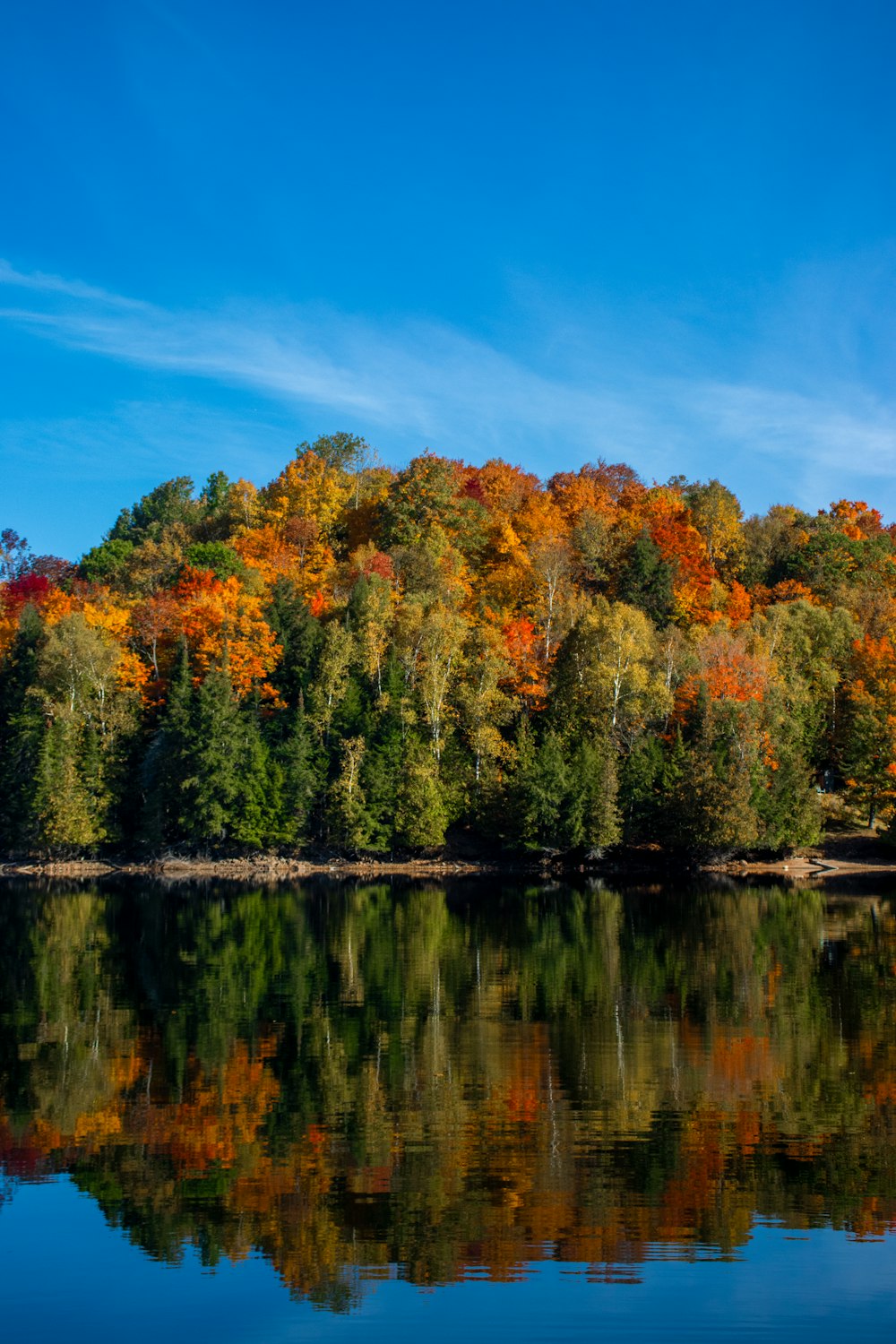 a large body of water surrounded by trees