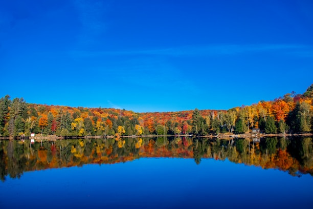 A serene mountain lake reflecting the colorful fall foliage under a clear blue sky.