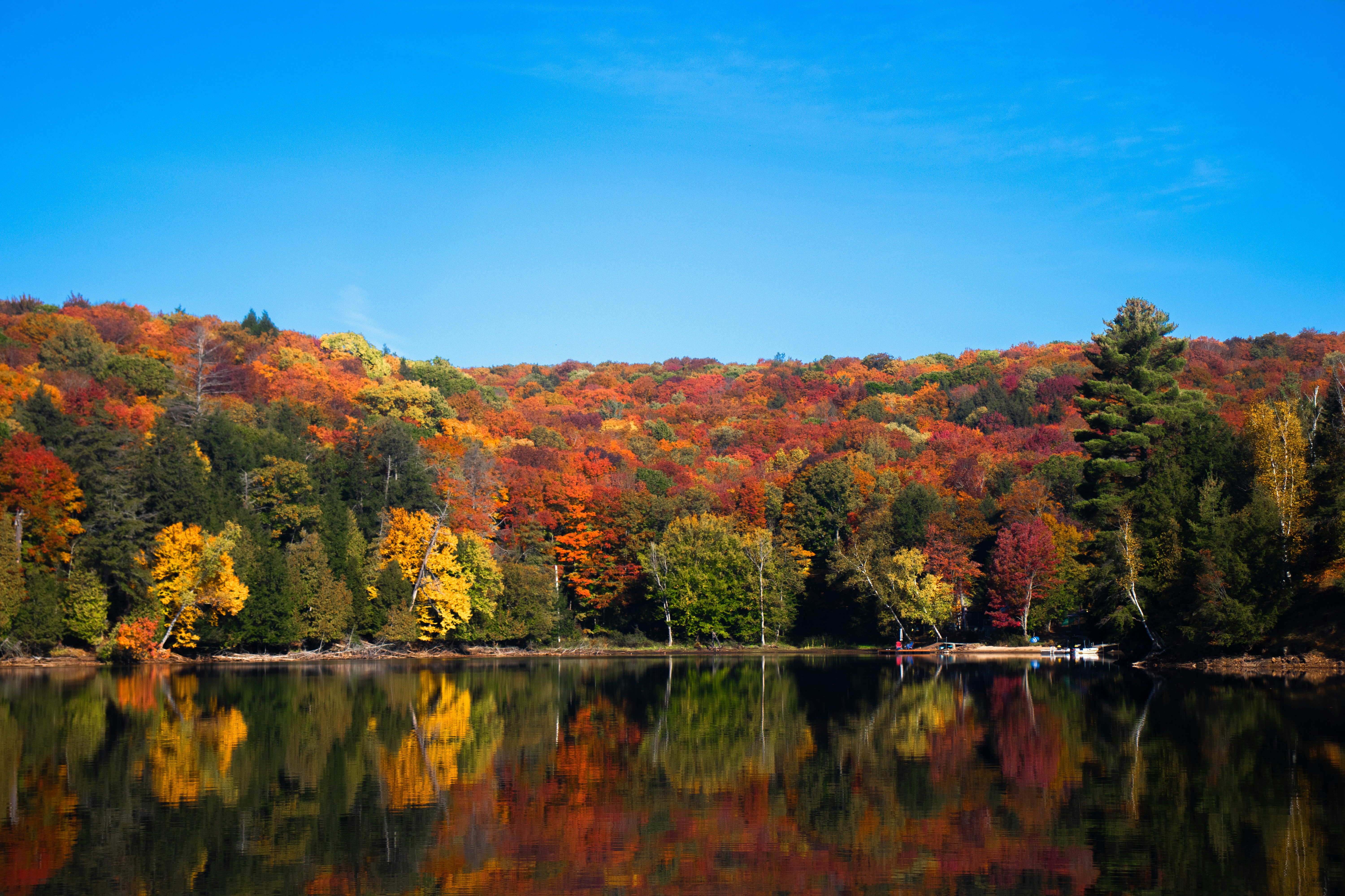 Photo by sinabahar76