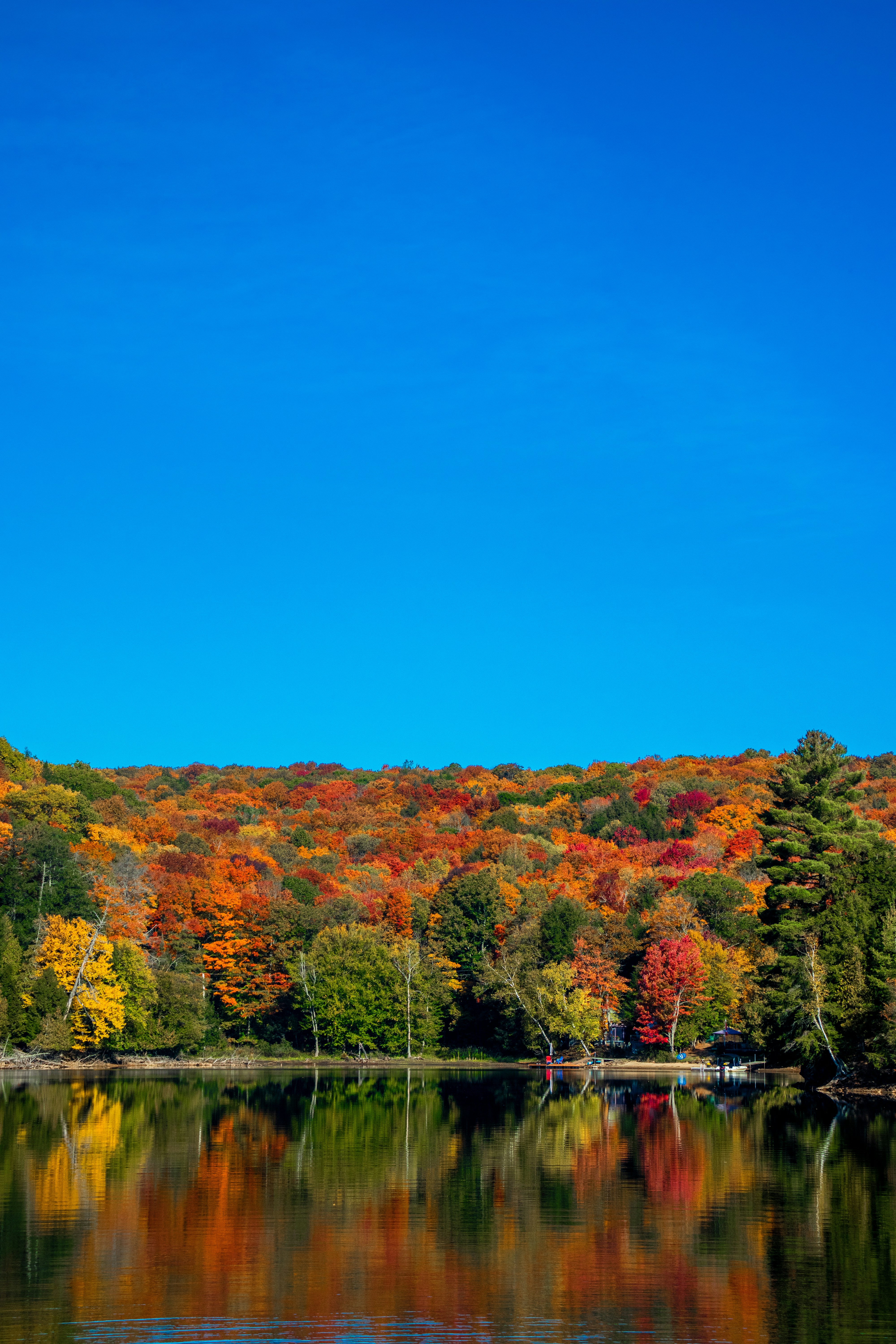 Photo by sinabahar76