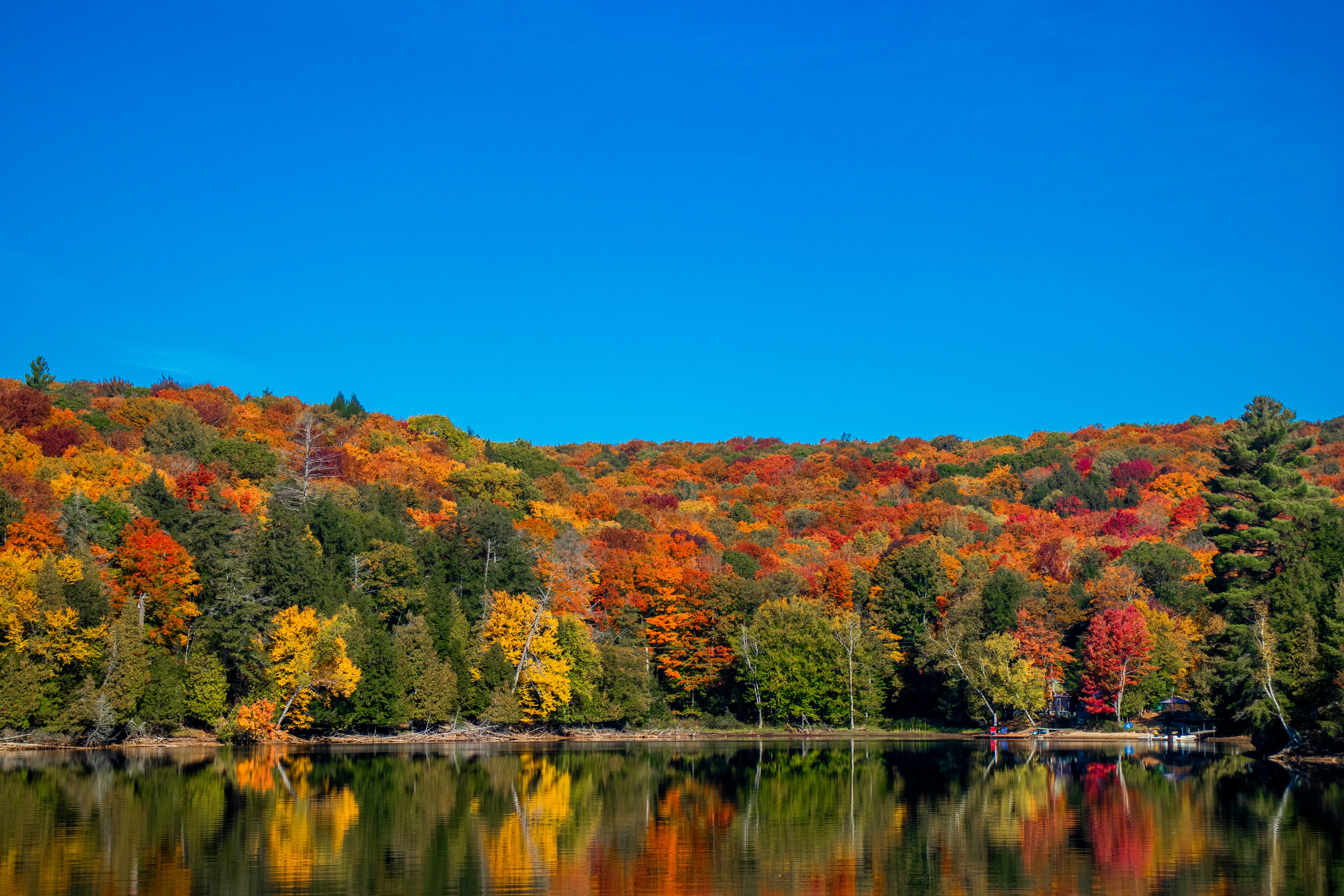 Photo by sinabahar76