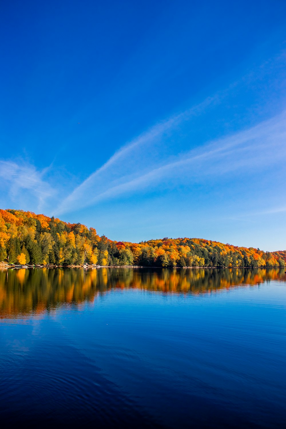 a body of water surrounded by trees in the fall