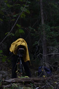 A professional photographer filming a mountain refuge surrounded by forest.