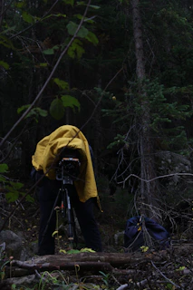 Behind-the-scenes shot of a documentary crew filming in a dense forest