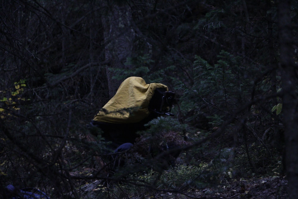 a person walking through a forest with a yellow cover over their head