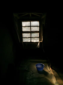 An 8-foot container featuring a window, bathed in natural light.