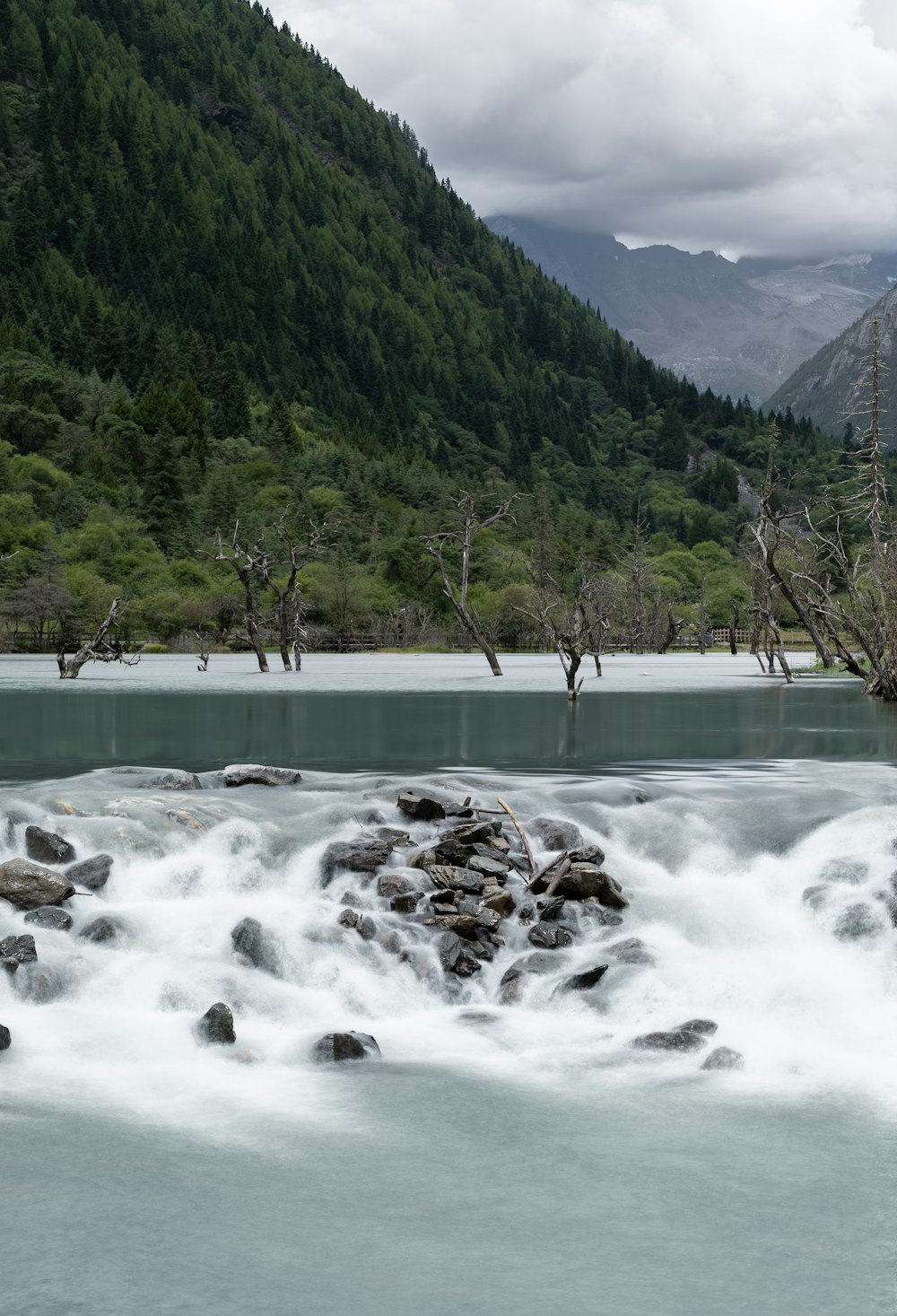 Ein Fluss, der durch einen üppigen grünen Wald fließt