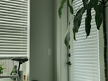 White venetian blinds cover a large window, allowing a diffused light to enter the room. A tall green plant stands beside the window, its leaves reaching towards the blinds. A bicycle seat is visible in the lower left corner, next to a small container of oil or glue. The ambiance is calm and tidy.