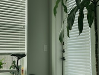 White venetian blinds cover a large window, allowing a diffused light to enter the room. A tall green plant stands beside the window, its leaves reaching towards the blinds. A bicycle seat is visible in the lower left corner, next to a small container of oil or glue. The ambiance is calm and tidy.