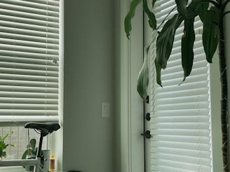 White venetian blinds cover a large window, allowing a diffused light to enter the room. A tall green plant stands beside the window, its leaves reaching towards the blinds. A bicycle seat is visible in the lower left corner, next to a small container of oil or glue. The ambiance is calm and tidy.