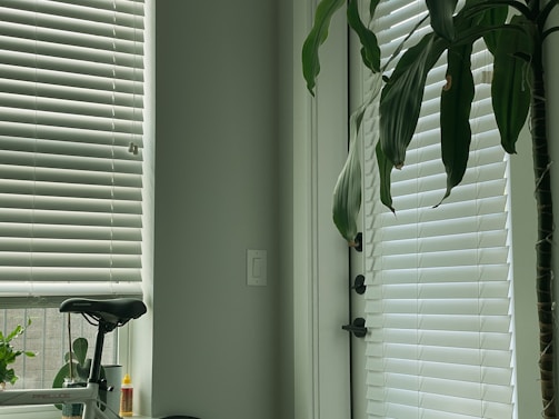 White venetian blinds cover a large window, allowing a diffused light to enter the room. A tall green plant stands beside the window, its leaves reaching towards the blinds. A bicycle seat is visible in the lower left corner, next to a small container of oil or glue. The ambiance is calm and tidy.