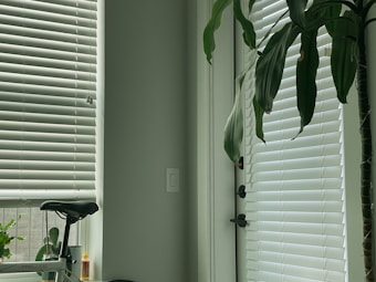 White venetian blinds cover a large window, allowing a diffused light to enter the room. A tall green plant stands beside the window, its leaves reaching towards the blinds. A bicycle seat is visible in the lower left corner, next to a small container of oil or glue. The ambiance is calm and tidy.