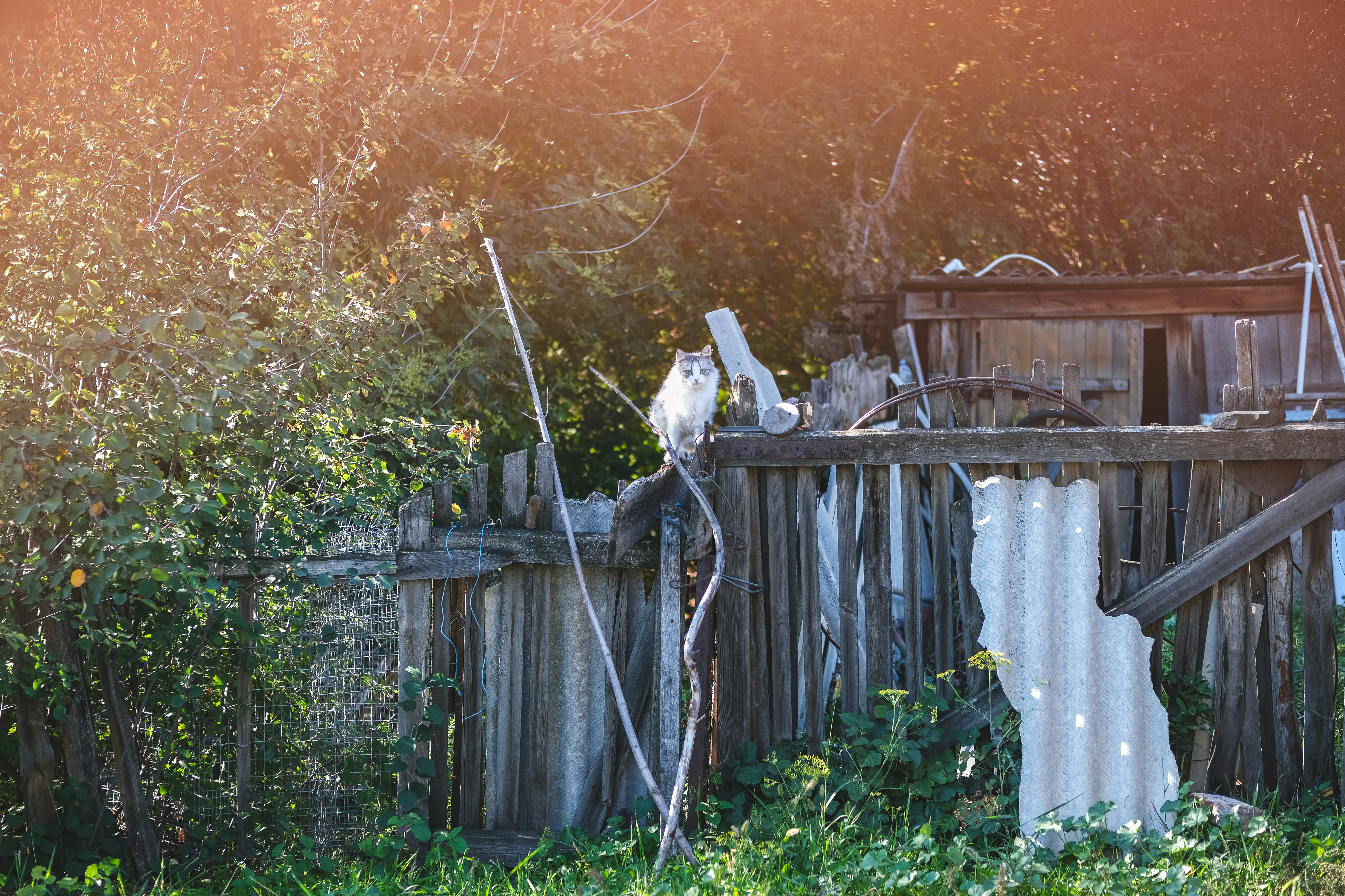 Photo by rolig_basseng