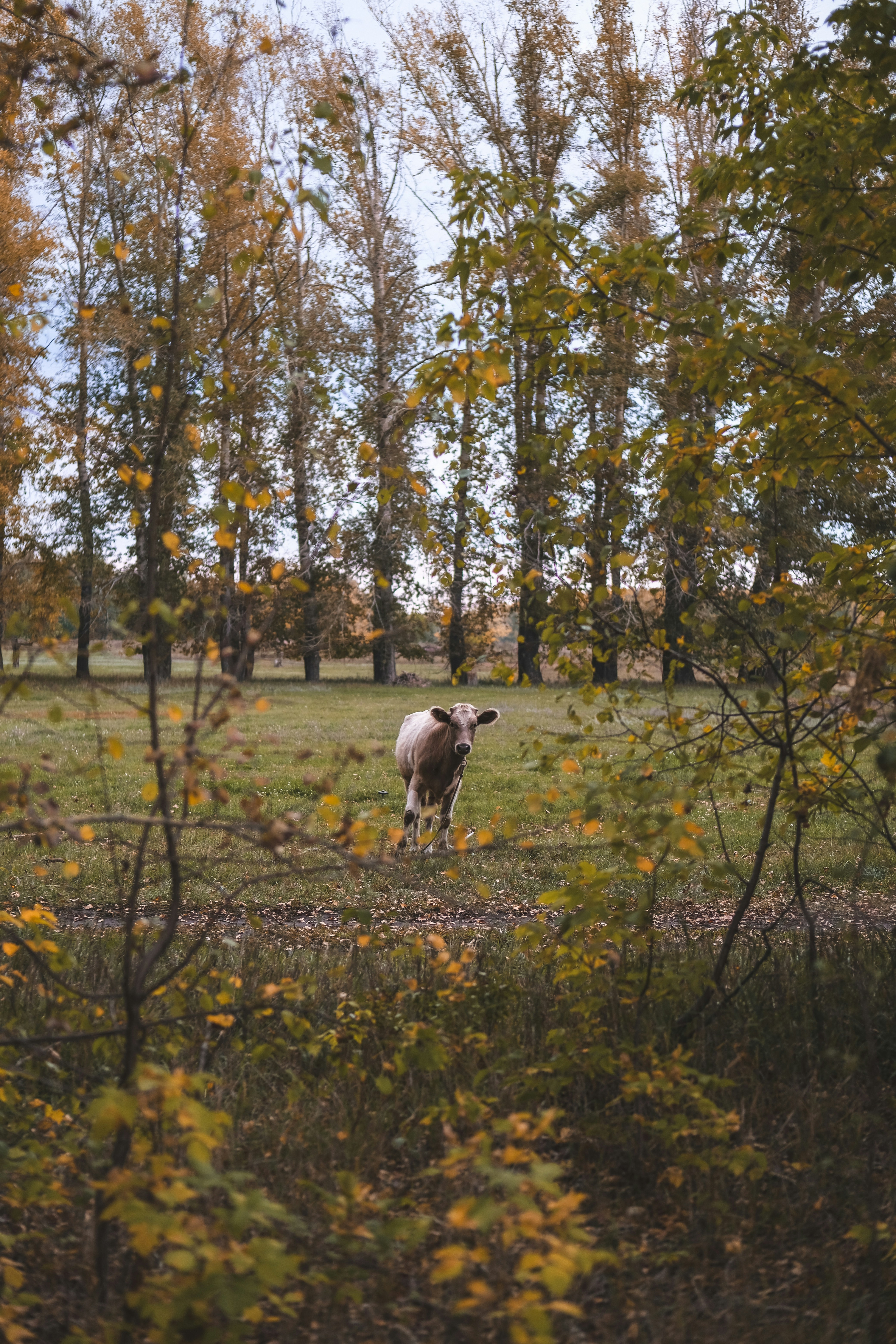 Photo by rolig_basseng