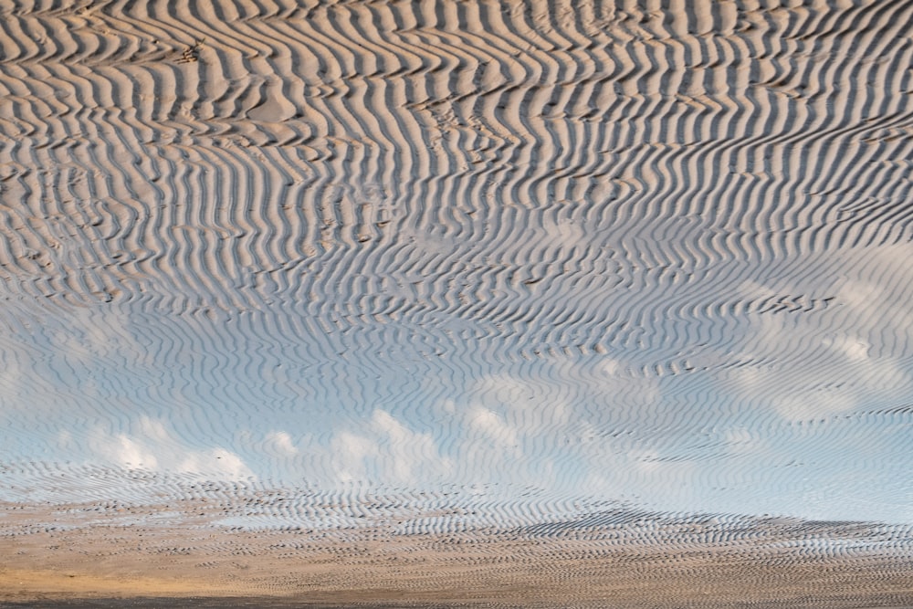 a bird is standing on the sand near the water