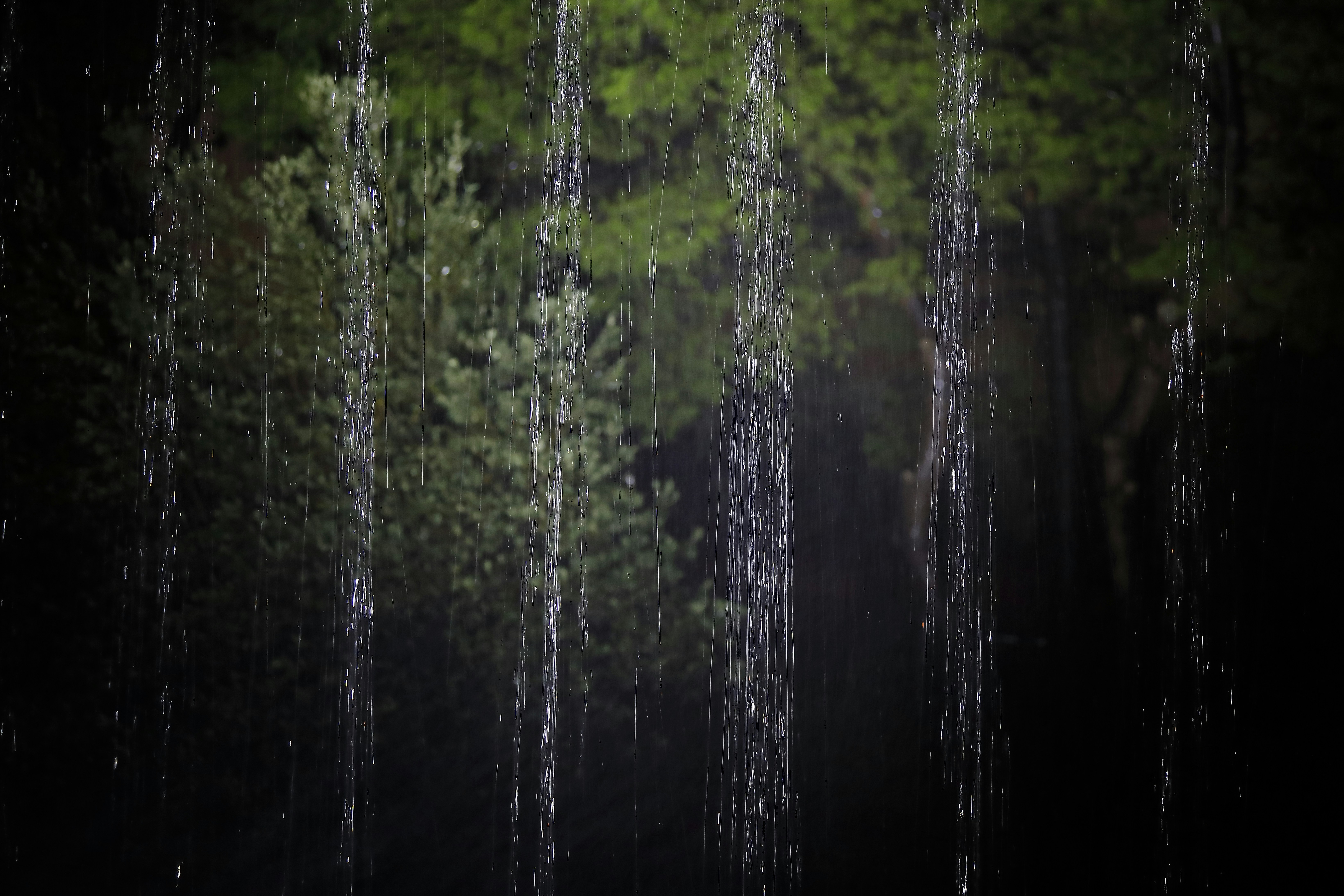 a group of trees that are next to each other