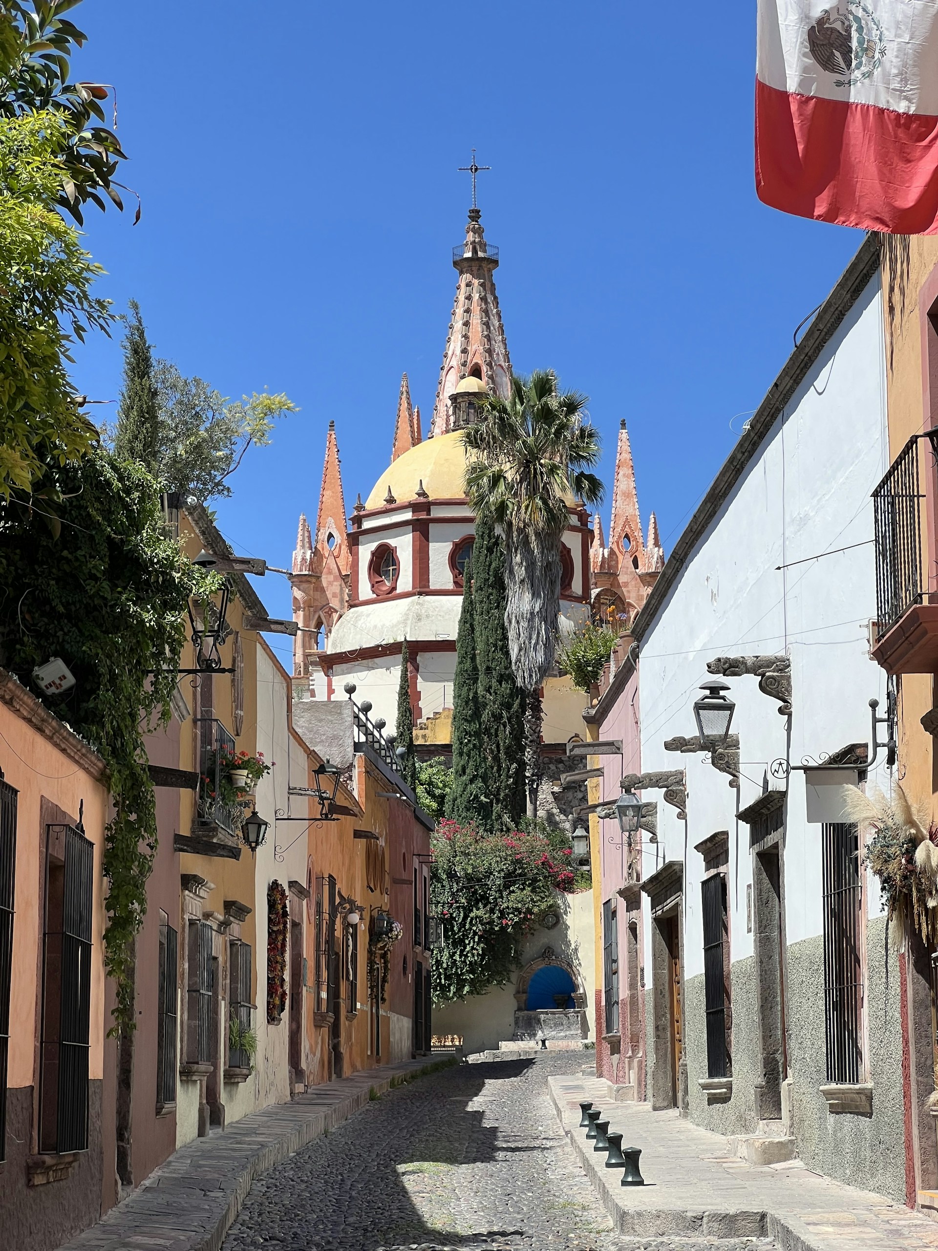 A picturesque cobblestone street flanked by colorful colonial-style buildings leads towards an ornate church with a dome and pointed spires. The Mexican flag is prominently displayed on the right, and lush greenery drapes the walls and buildings.