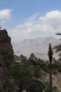 Image showing a scenic map area modified with new textures and objects for GTA San Andreas Android.