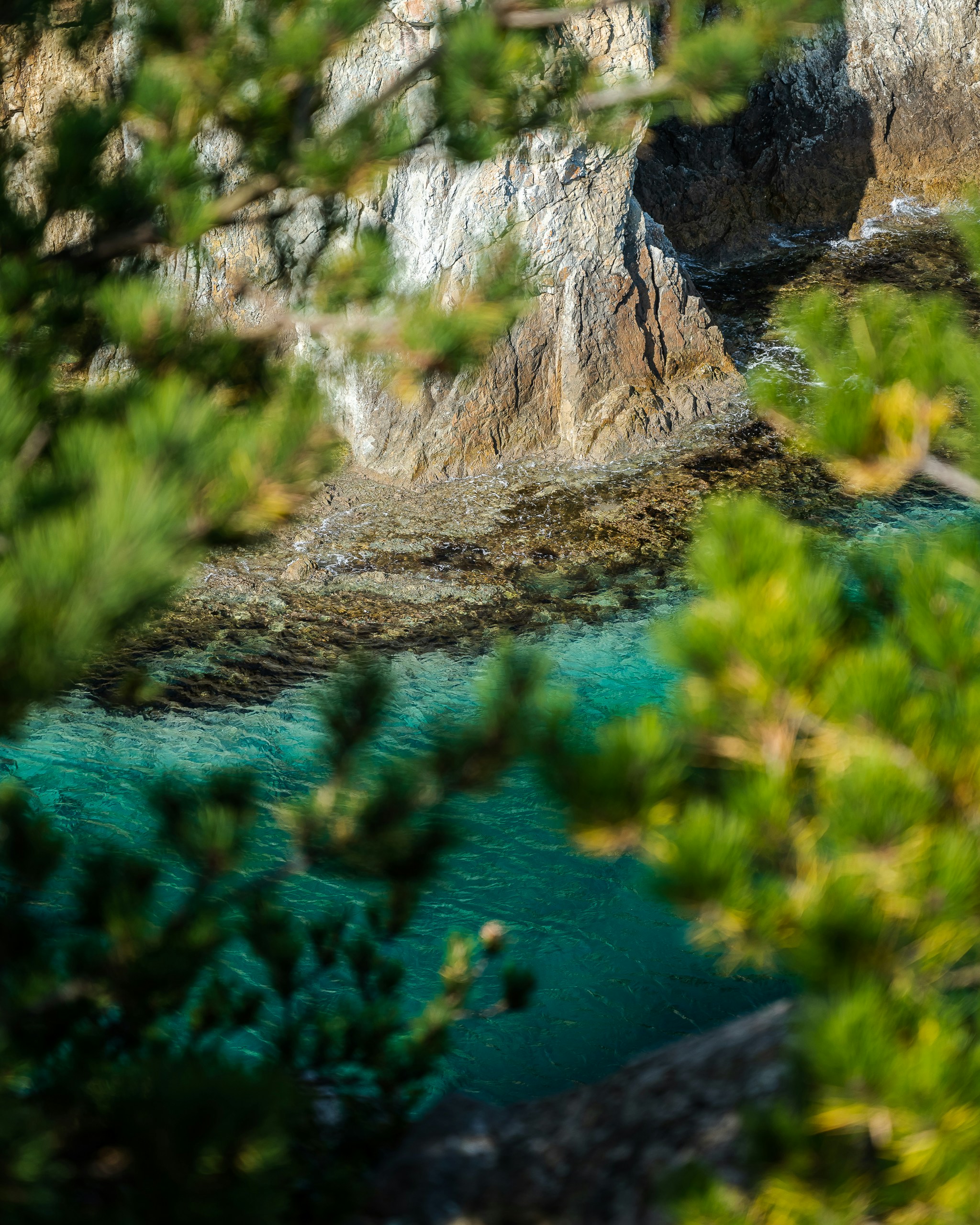 Photo by danilenkodanila